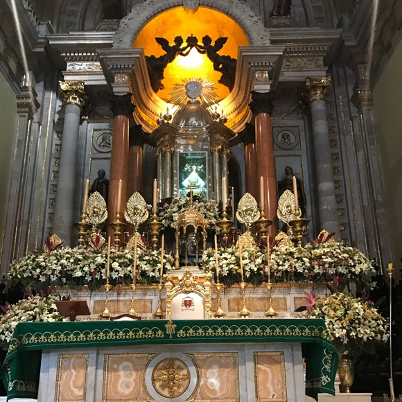 Meet your Posher, Giselle - Picture 1 of 1